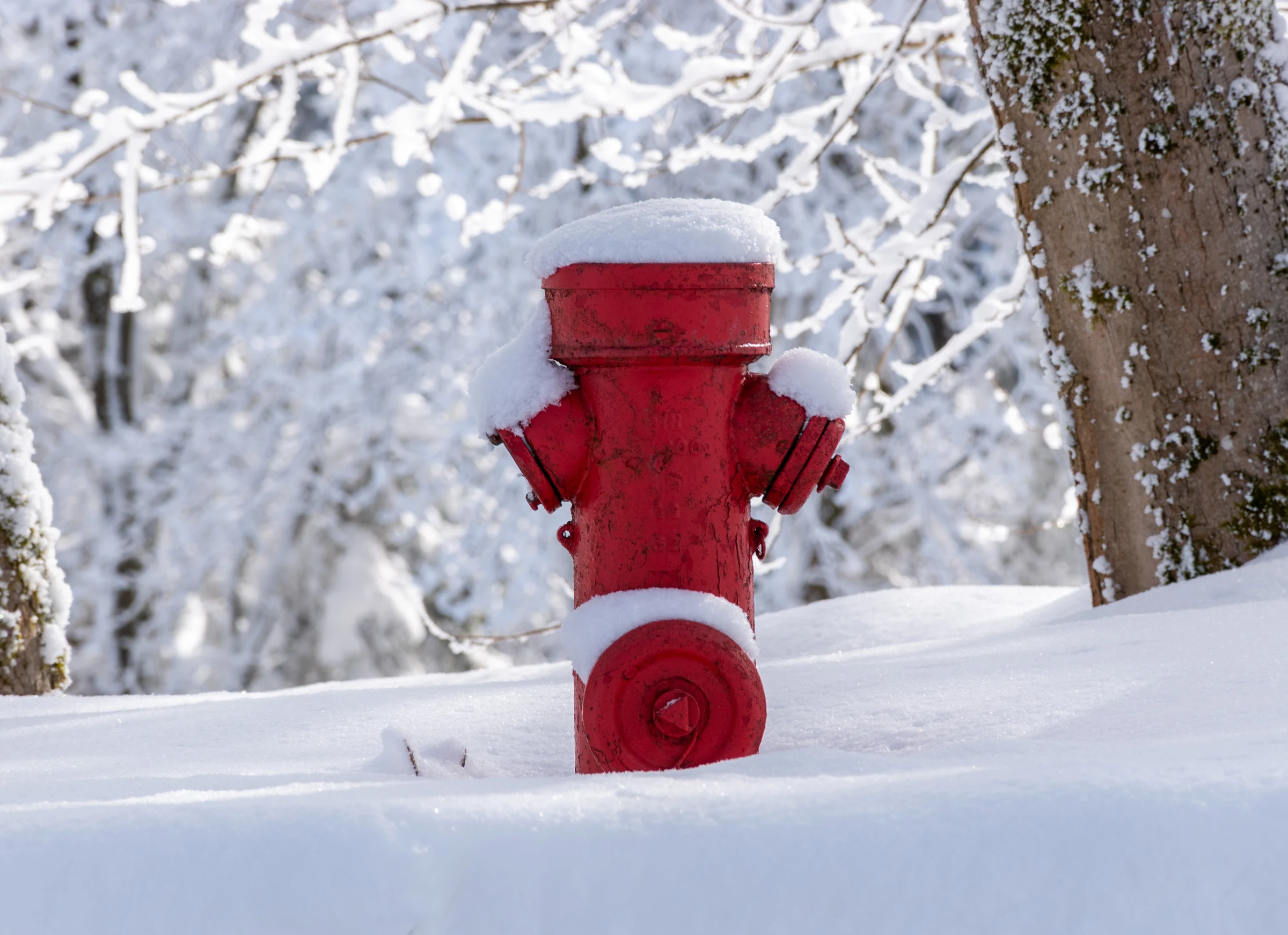 Hydrant im Schnee