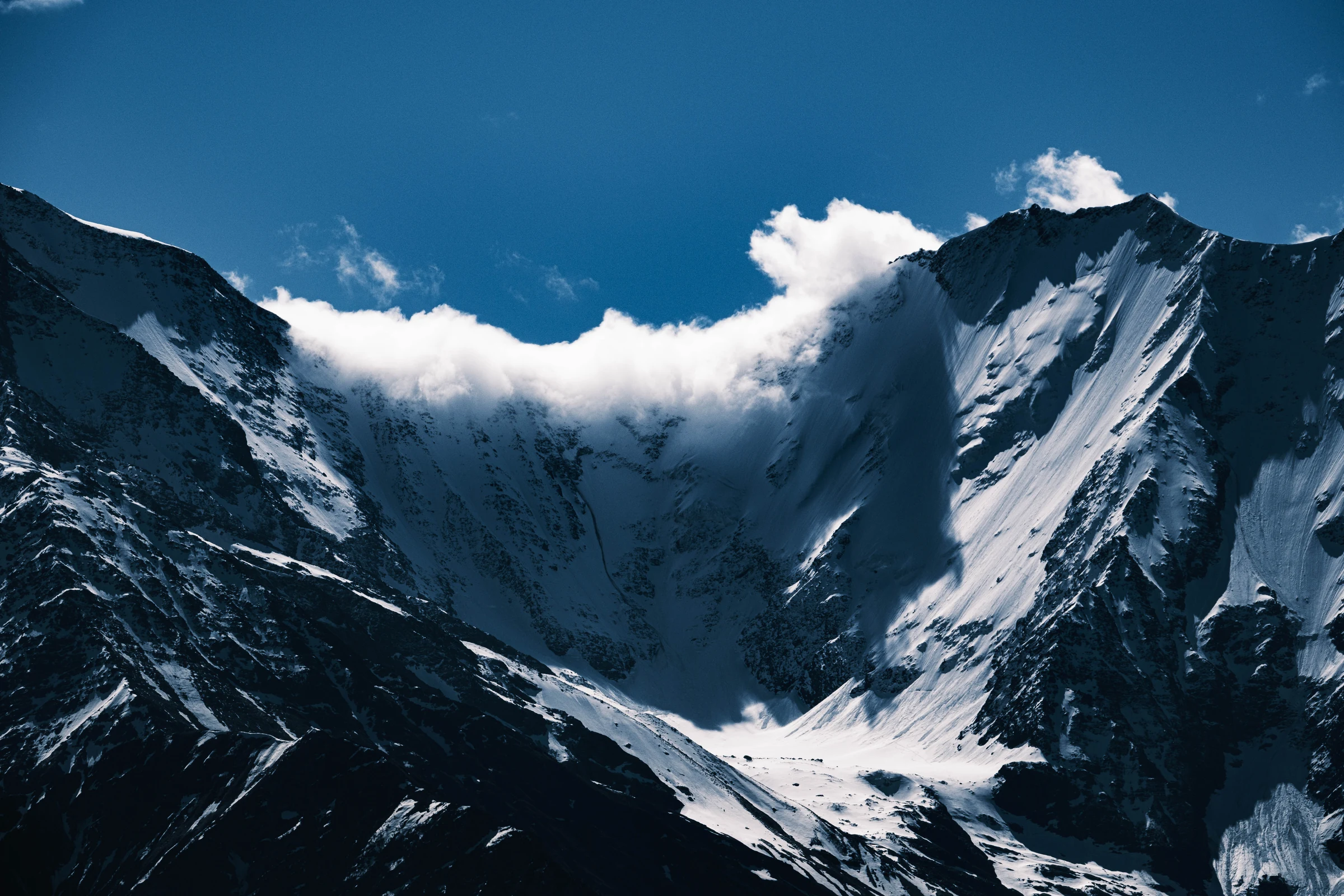 Mont Blanc View